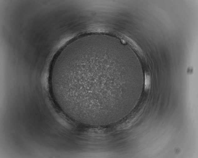 X0000103160627200808221355
