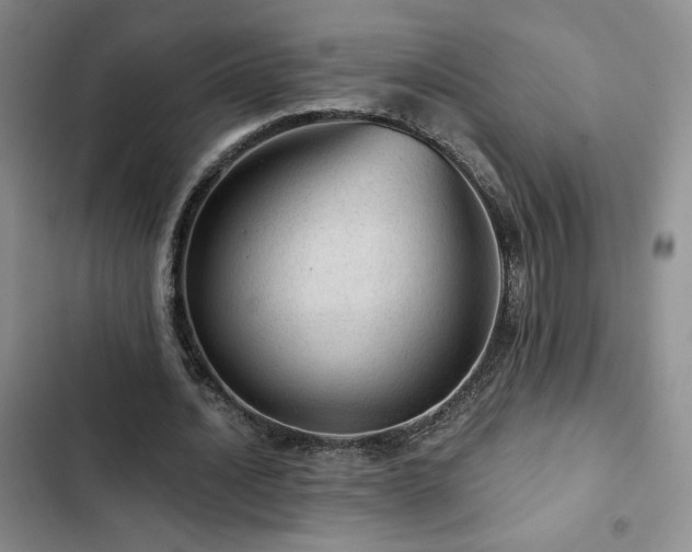 X0000103160628200808221355