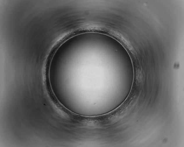X0000103160629200808221355