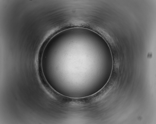 X0000103160630200808221355