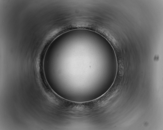 X0000103160631200808221355