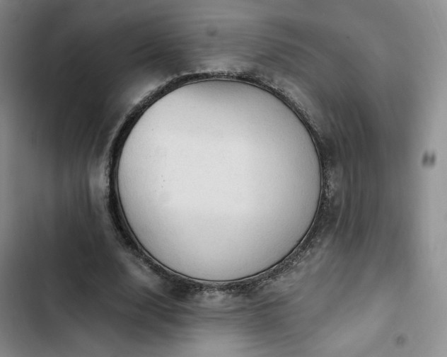 X0000103160632200808221355