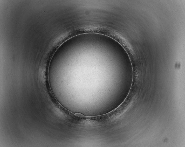 X0000103160633200808221355