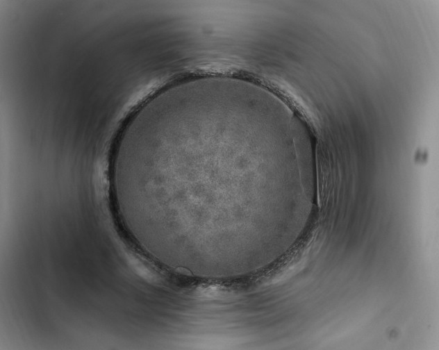 X0000103160634200808221355