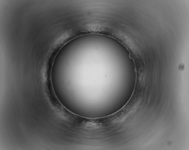 X0000103160635200808221355