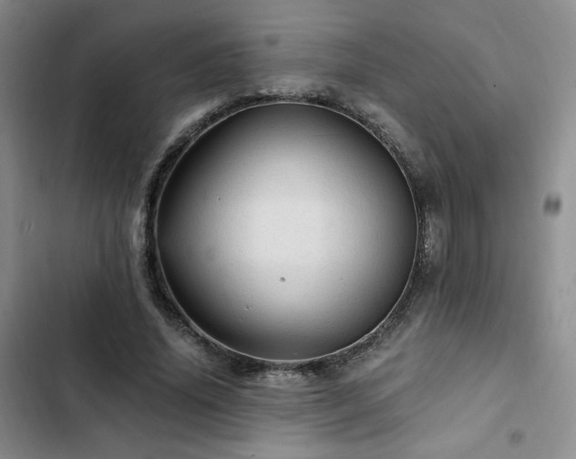 X0000103160636200808221355