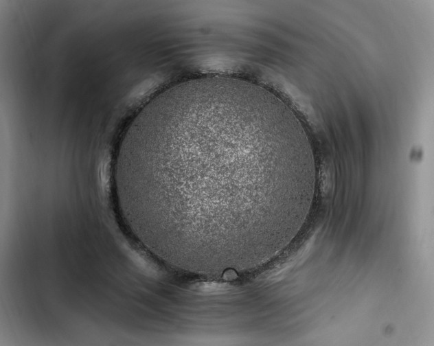 X0000103160637200808221355