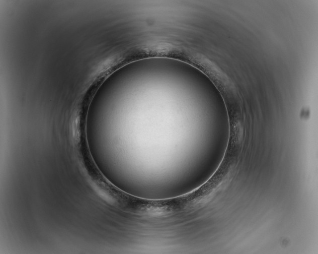 X0000103160638200808221355