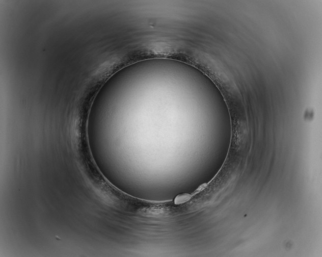 X0000103160639200808221355