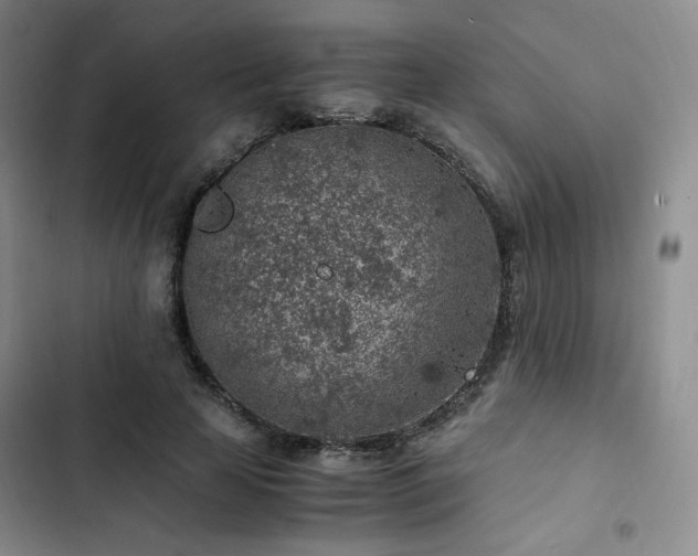X0000103160641200808221355