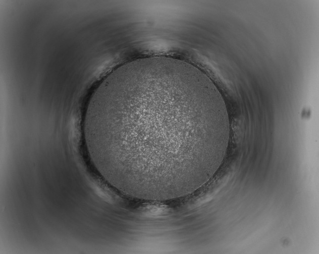 X0000103160642200808221355
