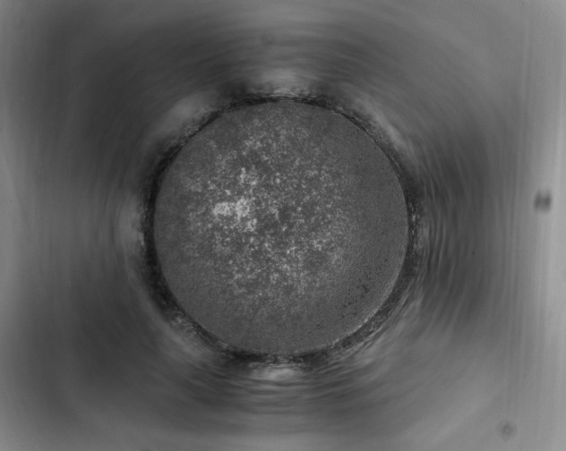 X0000103160643200808221355