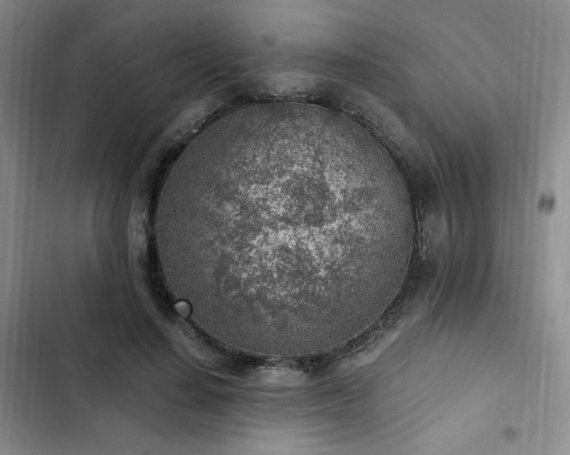 X0000103160644200808221355