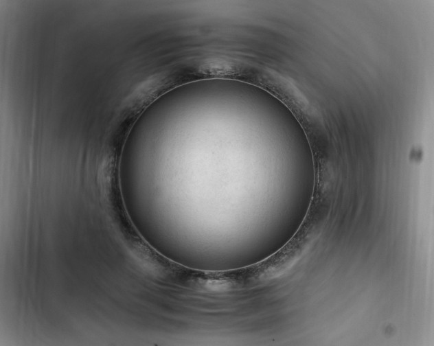 X0000103160645200808221355