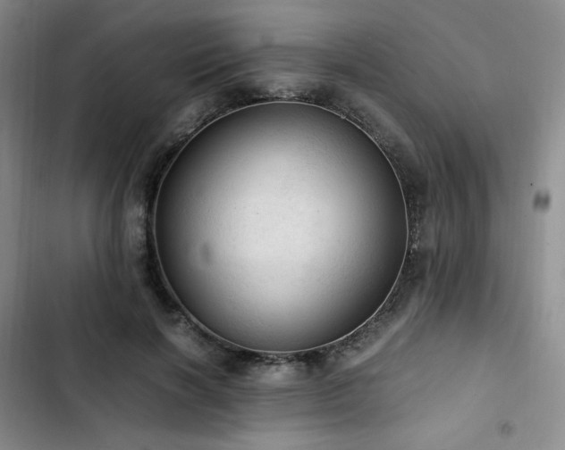 X0000103160646200808221355