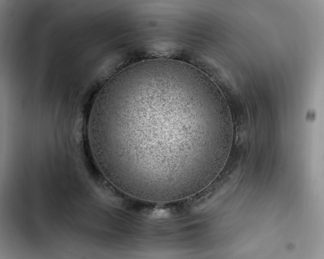 X0000103160647200808221355