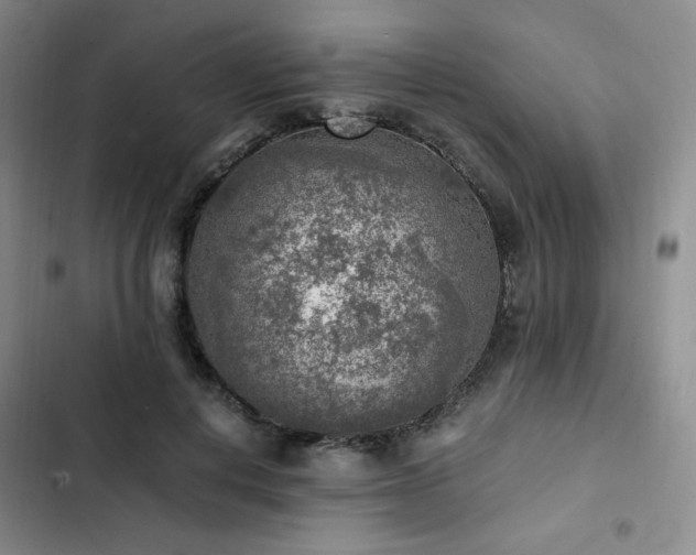 X0000103160648200808221355