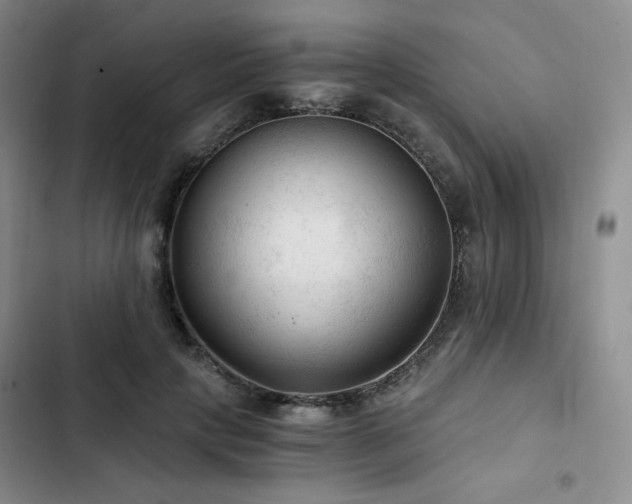 X0000103160649200808221355