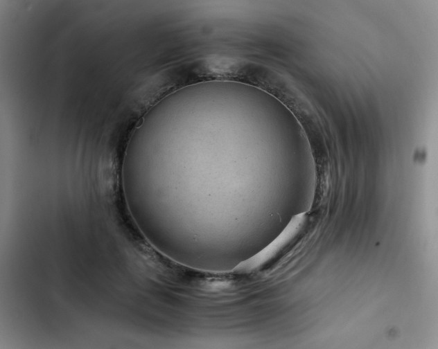 X0000103160651200808221355