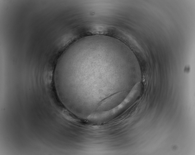 X0000103160652200808221355