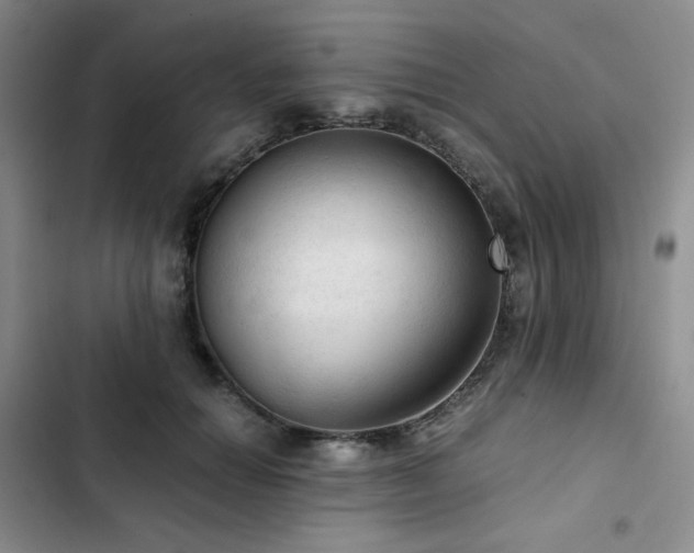 X0000103160654200808221355