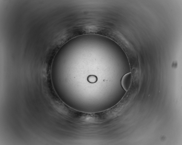 X0000103160655200808221355