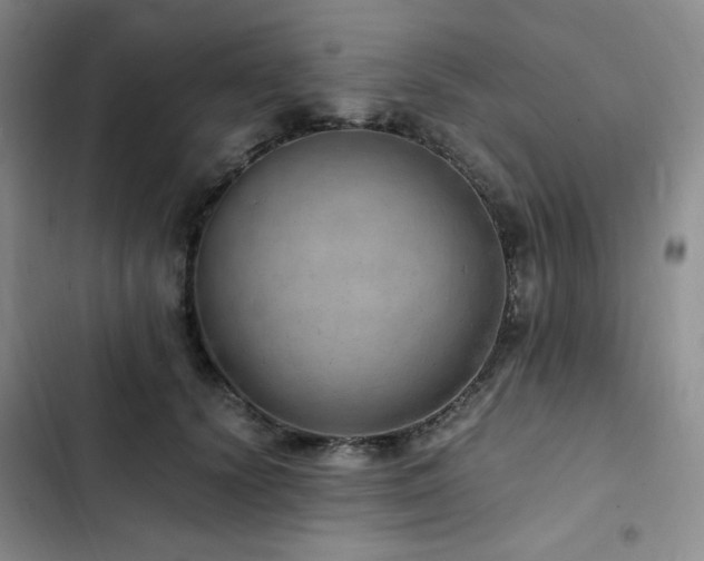 X0000103160656200808221355