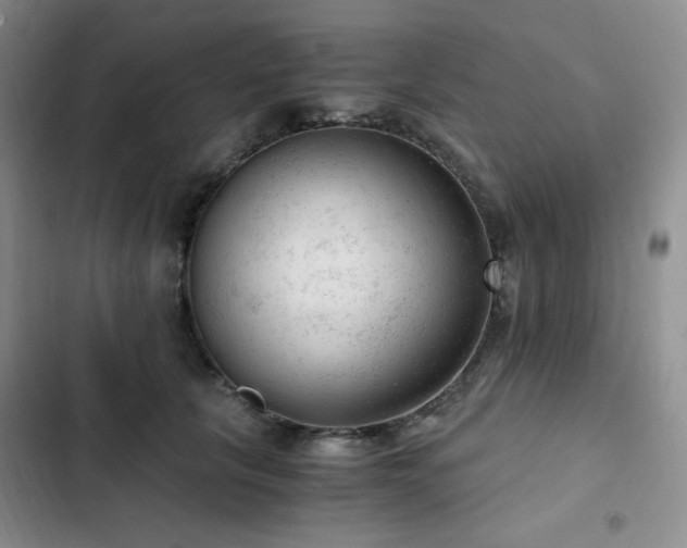 X0000103160657200808221355