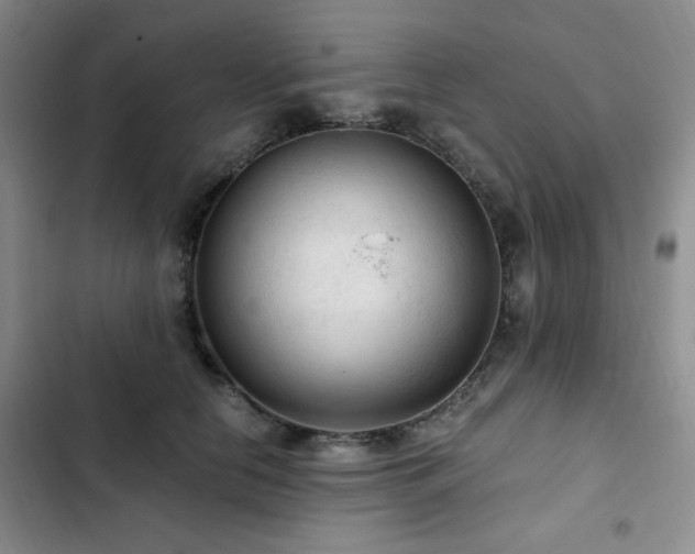 X0000103160658200808221355