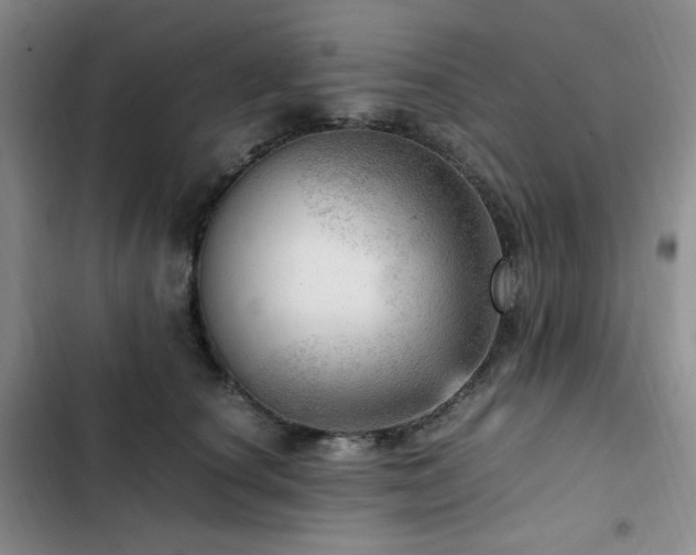 X0000103160660200808221355