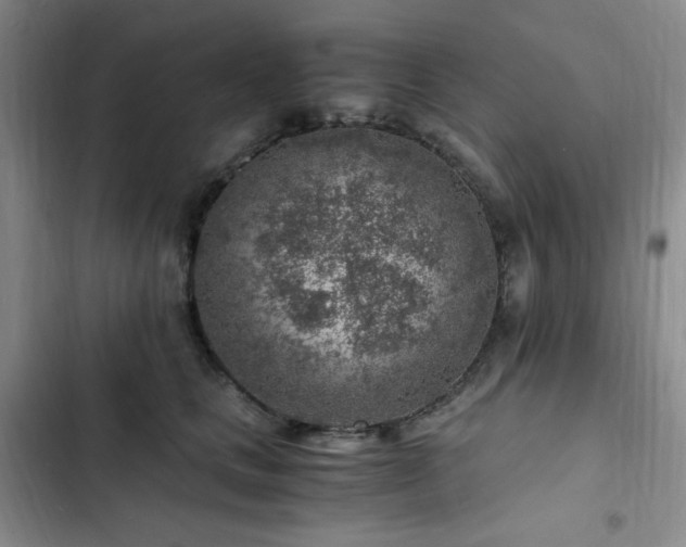 X0000103160661200808221355