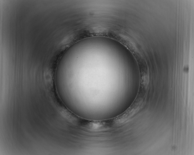 X0000103160662200808221355