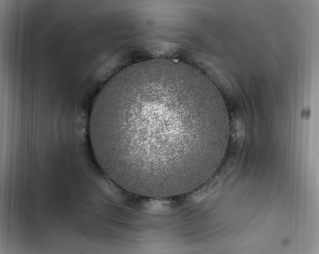 X0000103160664200808221355
