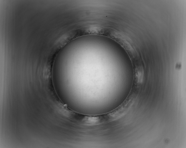 X0000103160665200808221355
