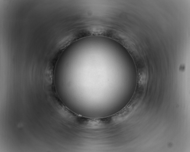 X0000103160666200808221355