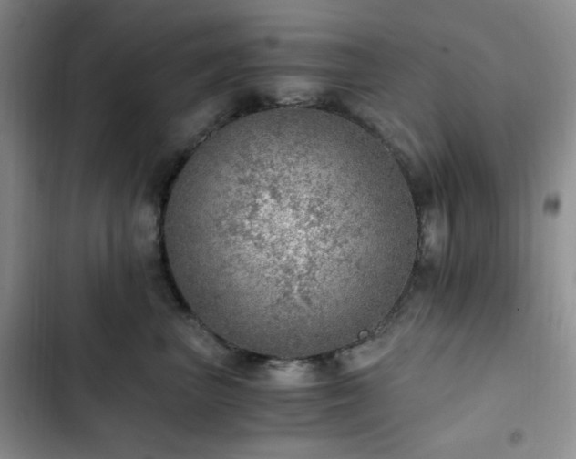 X0000103160667200808221355