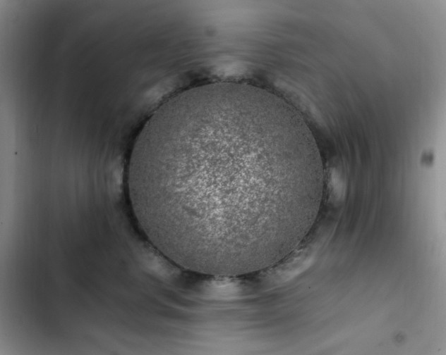 X0000103160668200808221355