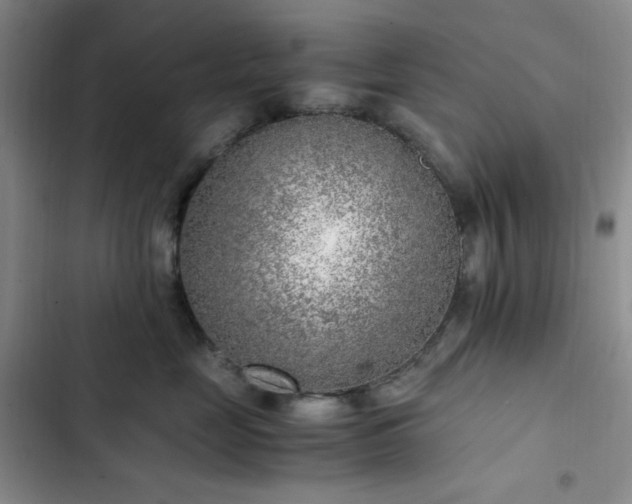 X0000103160669200808221356