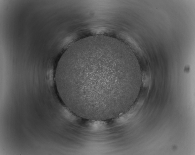 X0000103160670200808221356