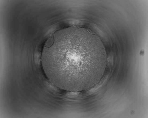 X0000103160671200808221356