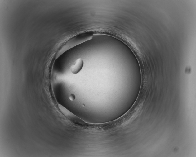 X0000103160673200808221355