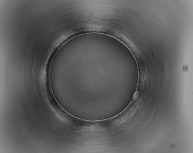 X0000103160674200808221355