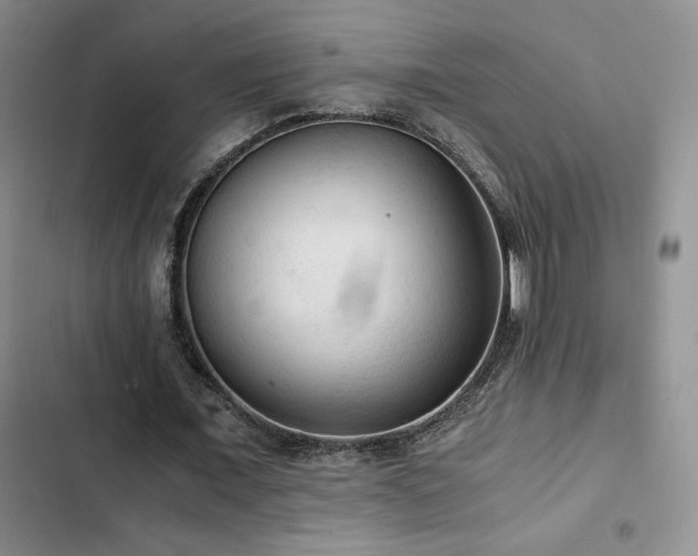X0000103160675200808221355