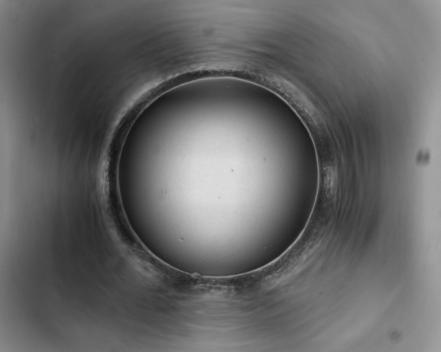 X0000103160676200808221355