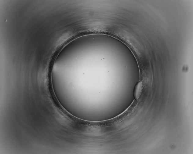 X0000103160677200808221355