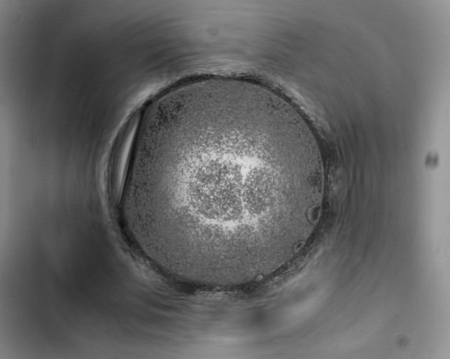 X0000103160679200808221355