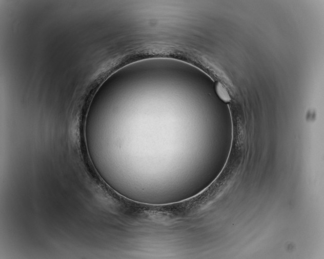 X0000103160681200808221355