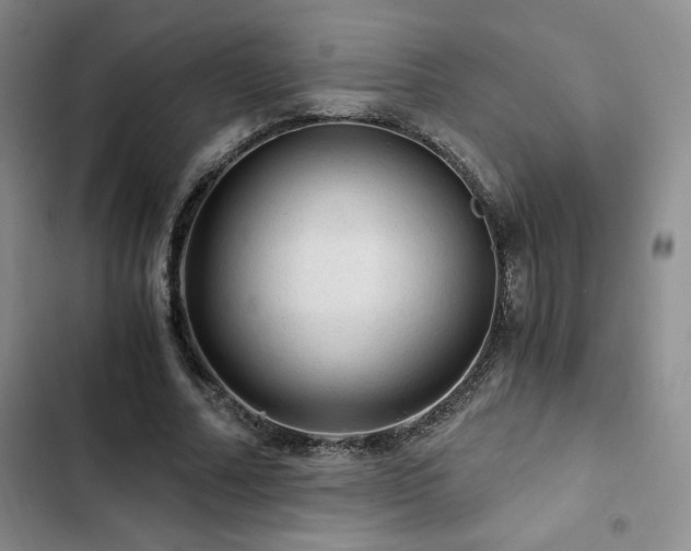 X0000103160682200808221355