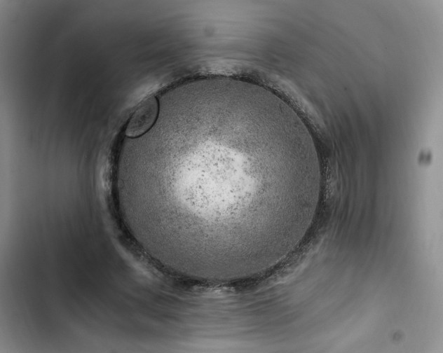 X0000103160683200808221355
