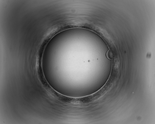 X0000103160685200808221355